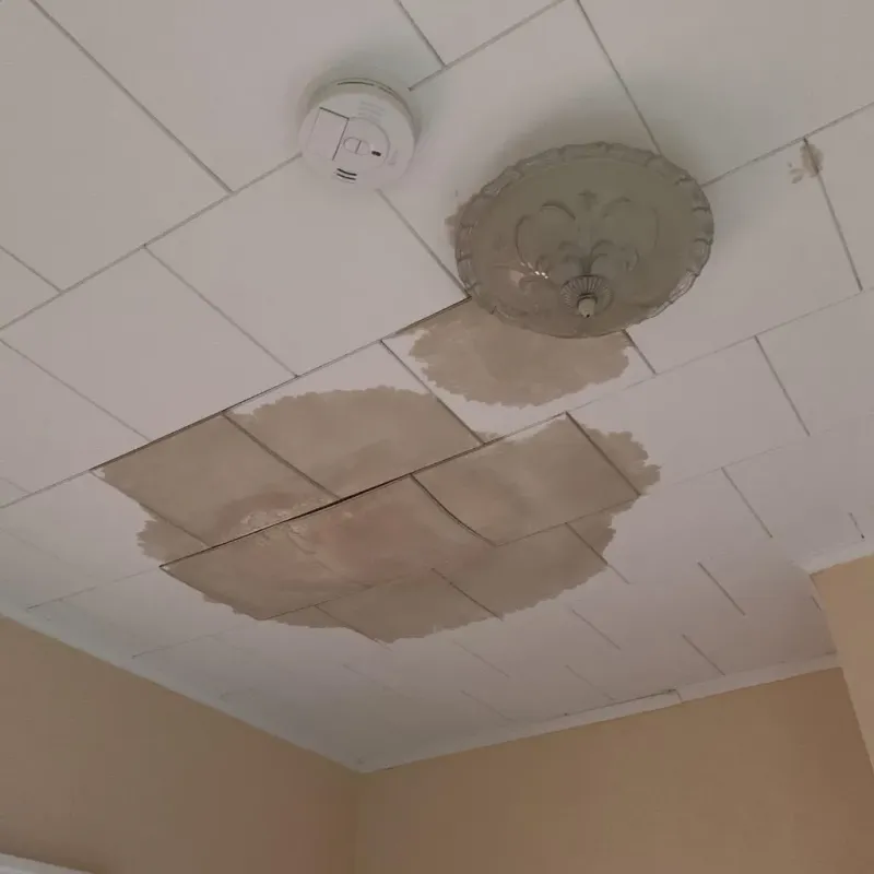 Ceiling Water Damage Repair in Camden, ME