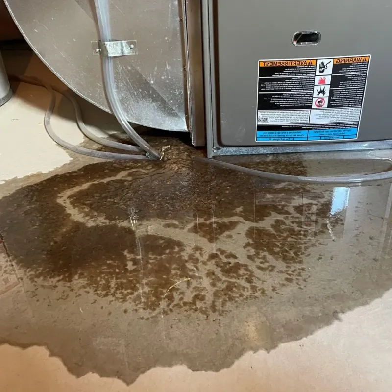 Pipe Burst and Leak Restoration in Camden, ME